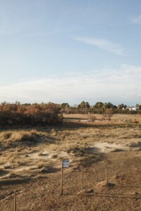 DCIM100MEDIADJI_0013.JPG